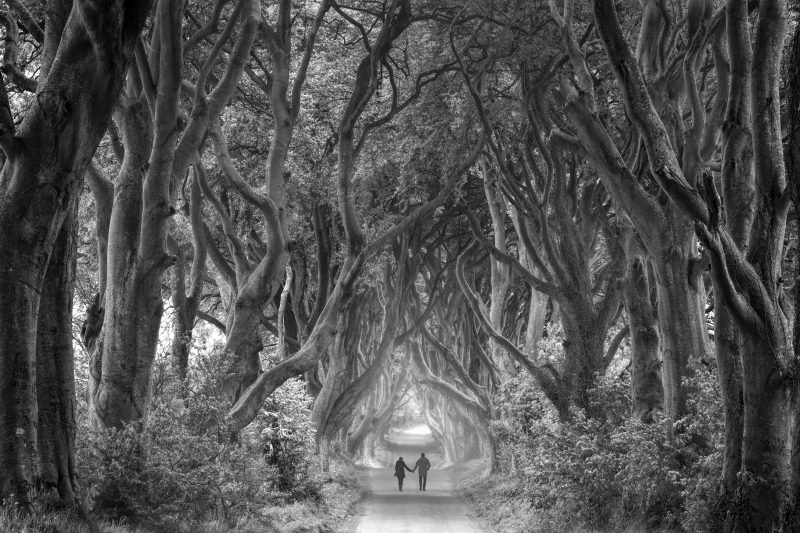 Rear view on couple holding hands walking through foggy dark hedges in Northern Ireland Test Therapist