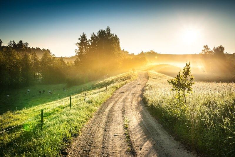 4nEpo1HY-res Eating Disorder Therapist in Collingwood, Ontario