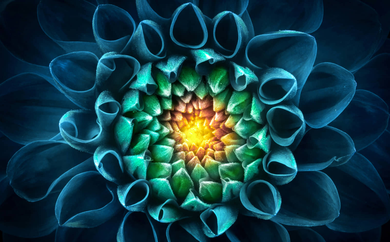 iStock-1287428930