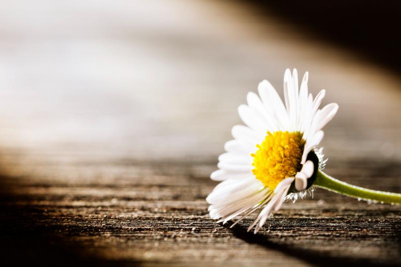 iStock-168492607 (1) Women’s Issues Therapist in Collingwood, Ontario