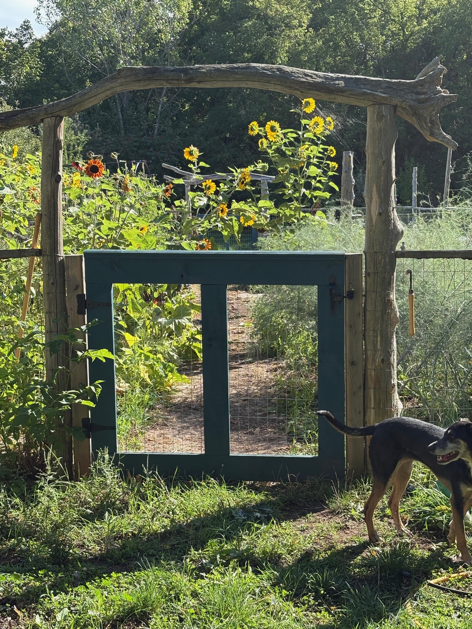 Garden 3 gate