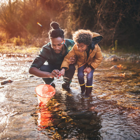 Men, Meaning & Direction